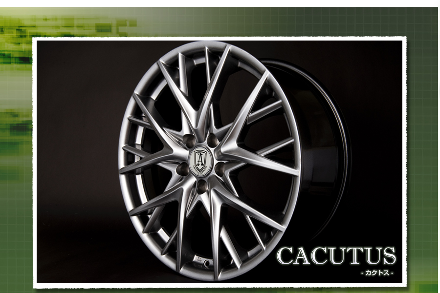 CACUTUS�@�J�N�g�X