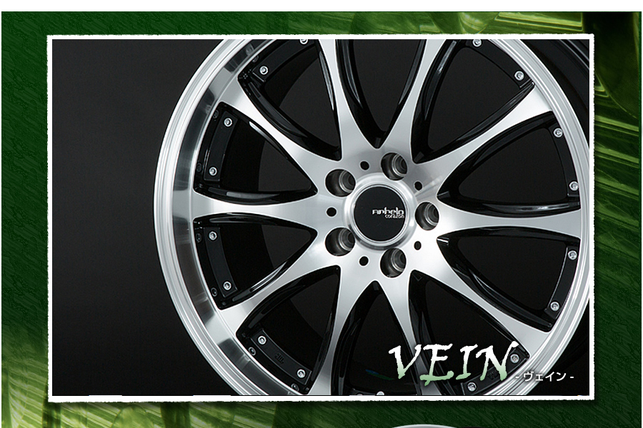 VEIN�@���F�C��